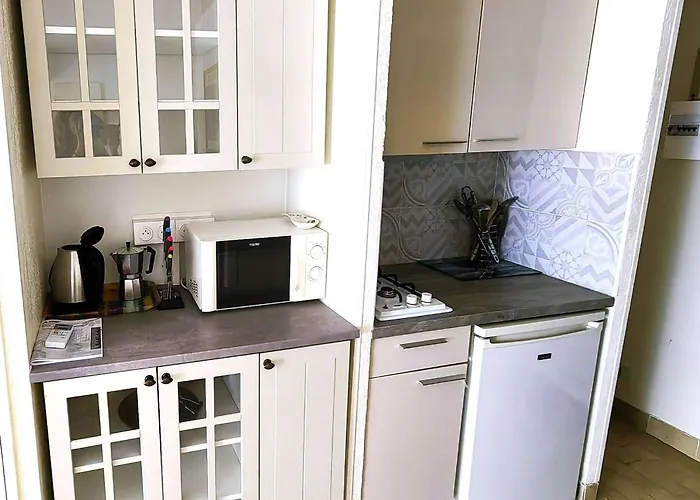 Apartment Joli T2 Pour 4 Pers, Jardin, A 900m De La - Fr-1-607-221 Agde